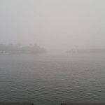 nebbia 2